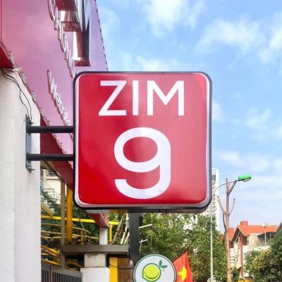 ZIM9